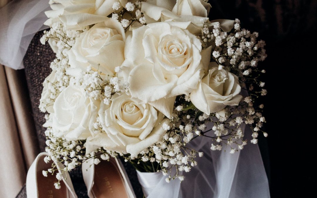 Gypsophila at Shustoke Barns